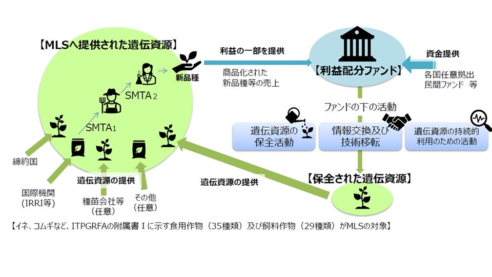 多数国間制度の概略図