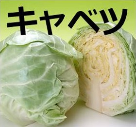 キャベツ