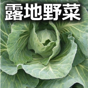 露地野菜