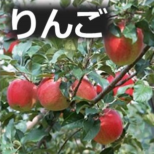 りんご