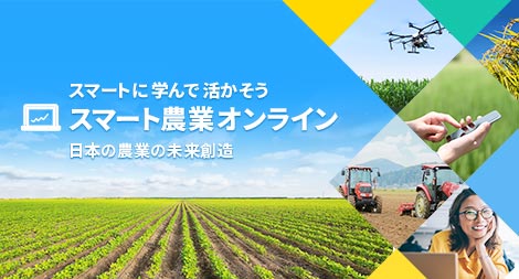 コンテンツイメージ