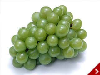 icon_grape.jpg