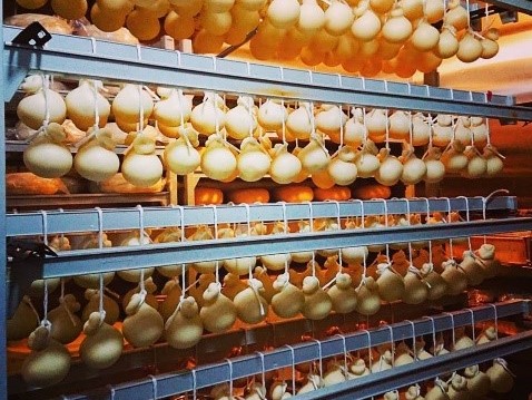 地元生乳100%の手作りチーズは国内外で高評価