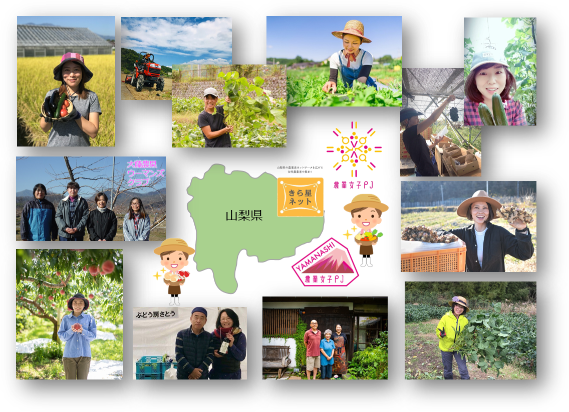 山梨県内で活躍する女性農業者