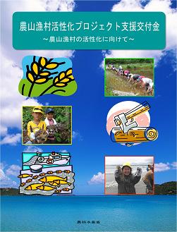 活性化パンフレット