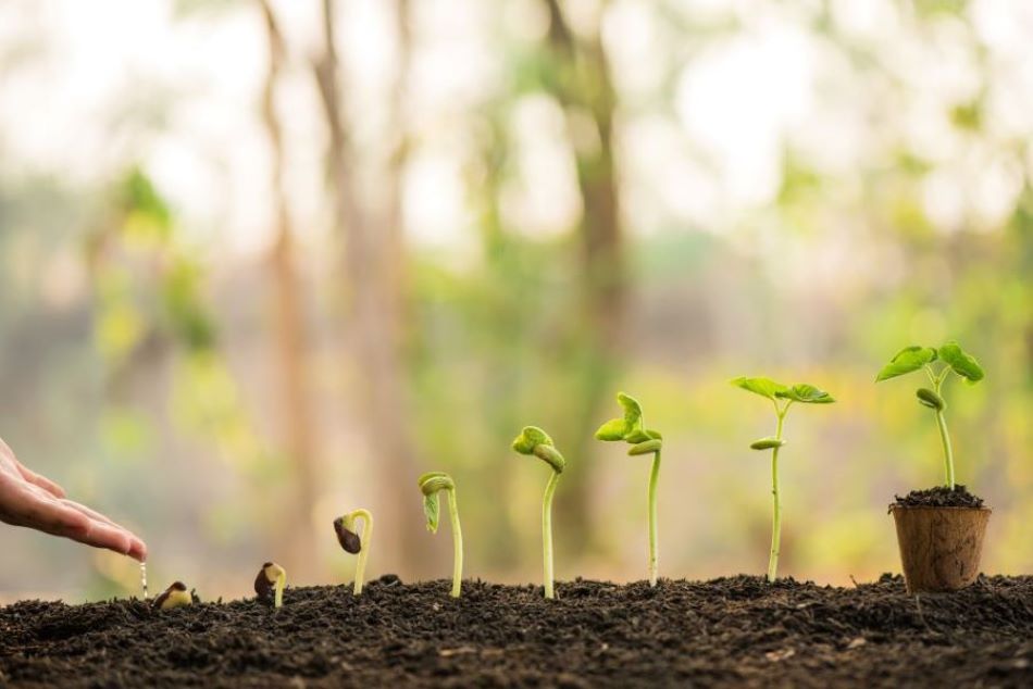 農業経営人材育成イメージ