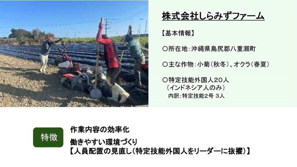 株式会社しらみずファームの企業紹介カード。黒いマルチシートが敷かれた畑でスタッフ2名が農業機械を操作している写真と基本情報を掲載。