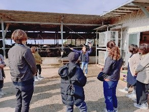 現地研修の様子