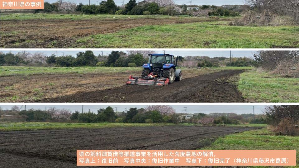 神奈川県の事例