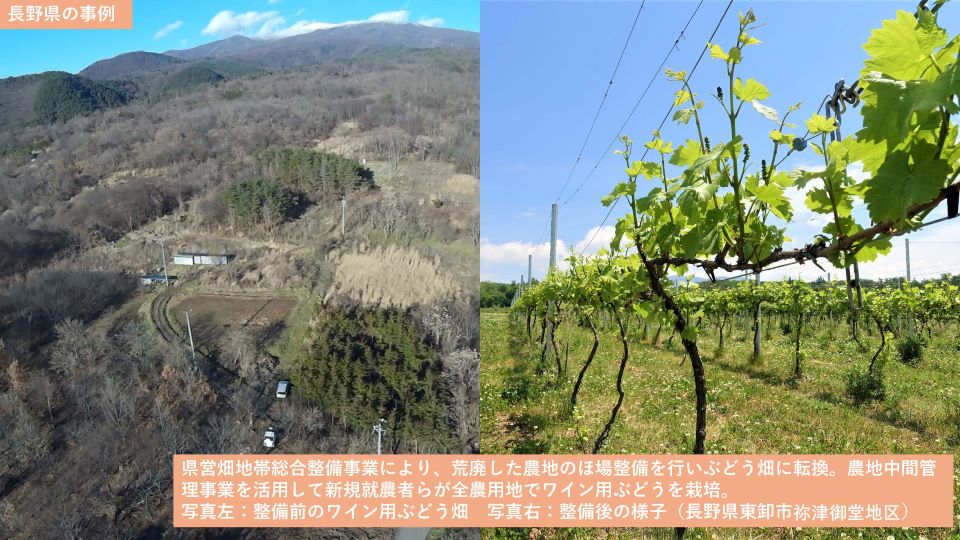 長野県の事例