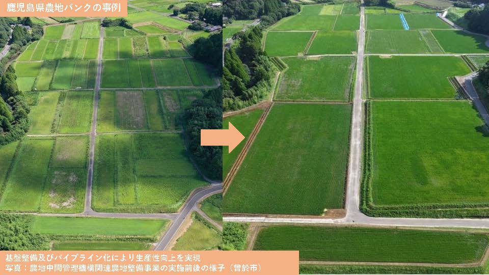 鹿児島県の事例