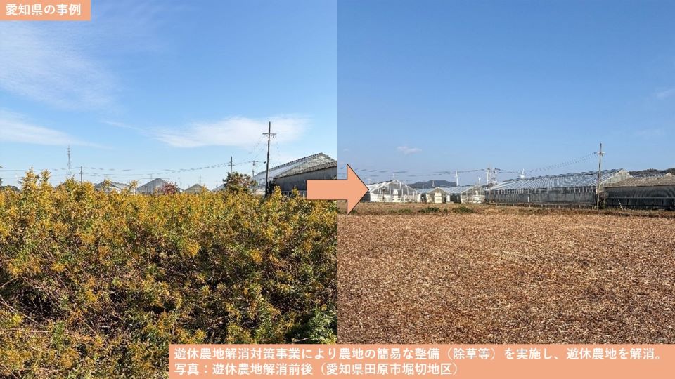 愛知県の事例