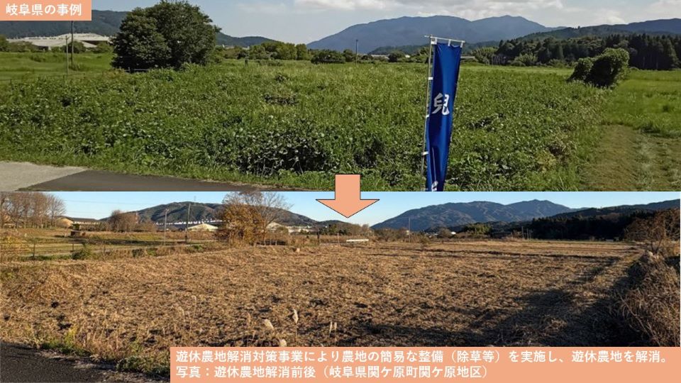 岐阜県の事例