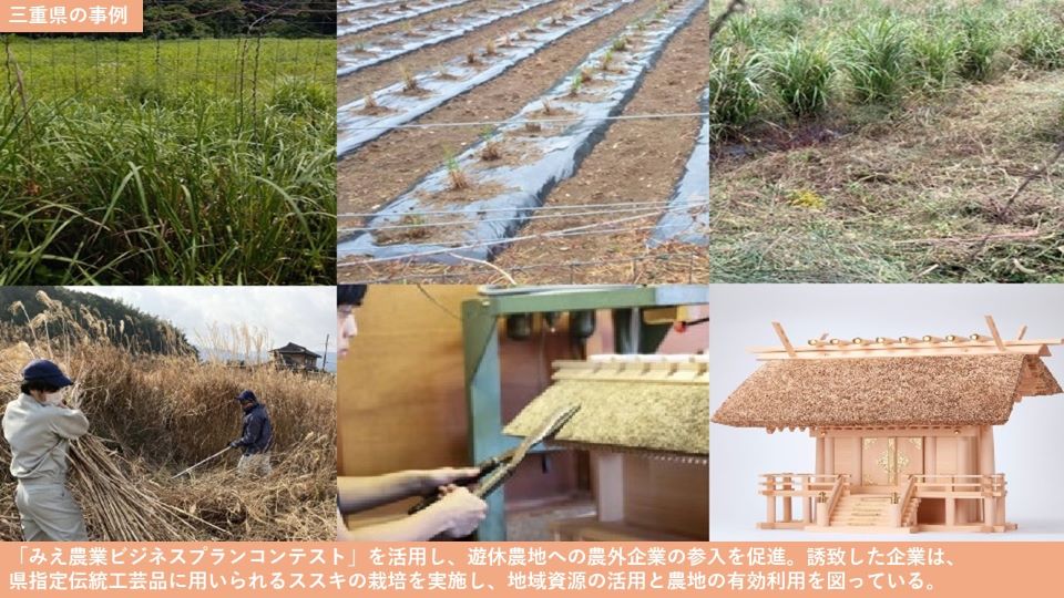 三重県の事例