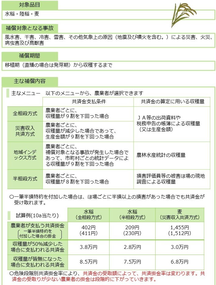 202504_農作物共済