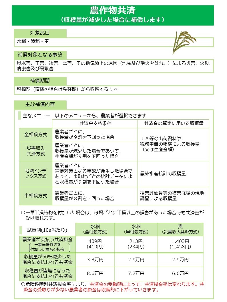 農業共済制度「農作物共済（収穫量が減少した場合に補償します）」の制度概要を示した説明図。右上に稲穂のイラストあり（装飾目的）。 【対象品目】水稲・陸稲・麦。 【補償対象となる事故】風水害、干害、冷害、雪害、その他気象上の原因（地震及び噴火を含む）による災害、火災、病虫害及び鳥獣害。 【補償期間】移植期（直播の場合は発芽期）から収穫するまで。 【主な補償内容。主なメニュー。以下のメニューから、農業者が選択できます。】 表は「共済金支払条件」と「共済金の算定に用いる収穫量」の2列構成。 全相殺方式：農業者ごとに、収穫量が9割を下回った場合に共済金支払。JA等の出荷資料や税務申告の帳簿による収穫量を使用。 災害収入共済方式：農業者ごとに、収穫量が減少した場合であって、生産金額が9割を下回った場合に共済金支払。JA等の出荷資料や税務申告の帳簿による収穫量（又は生産金額）を使用。 地域インデックス方式：農業者ごとに、補償対象となる事故が発生した場合であって、市町村ごとの統計データによる収穫量が9割を下回った場合に共済金支払。農林水産統計の収穫量を使用。 半相殺方式：農業者ごとに、収穫量が8割を下回った場合に共済金支払。損害評価員等の被害ほ場の現地調査による収穫量を使用。 一筆半損特約を付加した場合は、ほ場ごとに半損以上の損害があった場合でも共済金が受け取れる。 【試算例（10a当たり）】 3列の比較表。列は左から、水稲（全相殺方式）・水稲（半相殺方式）・麦（災害収入共済方式）。 農業者が支払う共済掛金（一筆半損特約を付加した場合の掛金）：409円（419円）・213円（234円）・1,403円（1,458円）。 収穫量が50パーセント減少した場合に支払われる共済金：3.8万円・2.9万円・2.9万円。 収穫量が皆無になった場合に支払われる共済金：8.6万円・7.7万円・6.6万円。 注記（重要・オレンジ色強調）：危険段階別共済掛金率により、共済金の受取額によって共済掛金率は変わる。共済金の受け取りが少ない農業者の掛金は段階的に下がっていく。