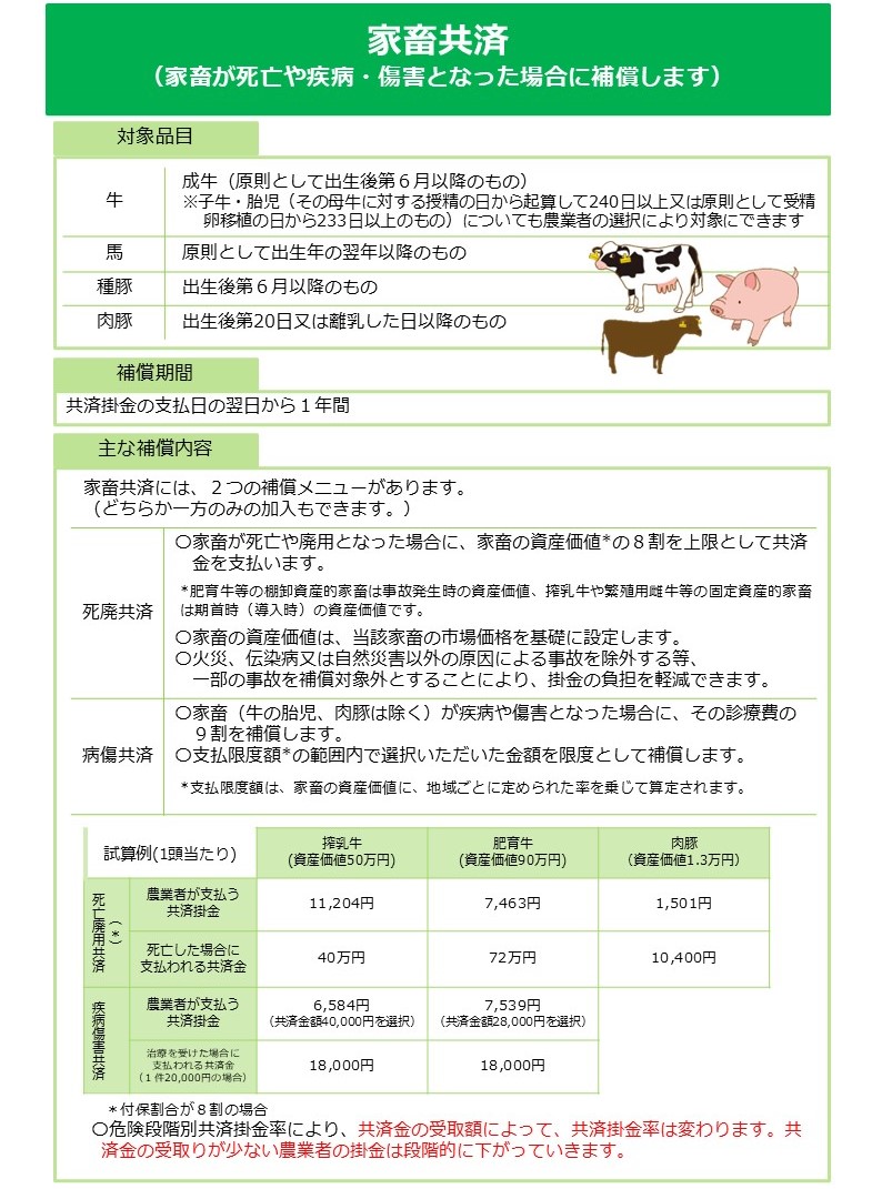 農業共済制度「家畜共済（家畜が死亡や疾病・傷害となった場合に補償します）」の制度案内図。緑色のヘッダーに白文字でタイトルが表示されている。右側に牛・馬・豚のイラストあり（装飾目的）。 【対象品目】 牛：成牛（原則として出生後6か月以降のもの）。子牛・胎児（その母牛に対する授精の日から起算して240日以上、又は原則として受精卵移植の日から233日以上のもの）についても農業者の選択により対象にできる。 馬：原則として出生年の翌年以降のもの。 種豚：出生後6か月以降のもの。 肉豚：出生後第20日又は離乳した日以降のもの。 【補償期間】共済掛金の支払日の翌日から1年間。 【主な補償内容】 家畜共済には2つの補償メニューがある。どちらか一方のみの加入もできる。 死廃共済：家畜が死亡や廃用となった場合に、家畜の資産価値の8割を上限として共済金を支払う。肥育牛等の棚卸資産的家畜は事故発生時の資産価値、搾乳牛や繁殖用雌牛等の固定資産的家畜は期首時（導入時）の資産価値を使用する。家畜の資産価値は当該家畜の市場価格を基礎に設定する。火災、伝染病又は自然災害以外の原因による事故を除外する等、一部の事故を補償対象外とすることにより掛金の負担を軽減できる。 病傷共済：家畜（牛の胎児・肉豚を除く）が疾病や傷害となった場合に、その診療費の9割を補償する。支払限度額の範囲内で選択した金額を限度として補償する。支払限度額は家畜の資産価値に地域ごとに定められた率を乗じて算定される。 【試算例（1頭当たり）】 3列の比較表。列は左から、搾乳牛（資産価値50万円）・肥育牛（資産価値90万円）・肉豚（資産価値1.3万円）。 死廃共済（付保割合8割の場合）の農業者が支払う共済掛金：11,204円・7,463円・1,501円。 死亡した場合に支払われる共済金：40万円・72万円・10,400円。 病傷共済の農業者が支払う共済掛金：6,584円（共済金額40,000円を選択）・7,539円（共済金額28,000円を選択）・対象外。 治療を受けた場合に支払われる共済金（1件20,000円の場合）：18,000円・18,000円・対象外。 注記（重要・オレンジ色強調）：危険段階別共済掛金率により、共済金の受取額によって共済掛金率は変わる。共済金の受け取りが少ない農業者の掛金は段階的に下がっていく。