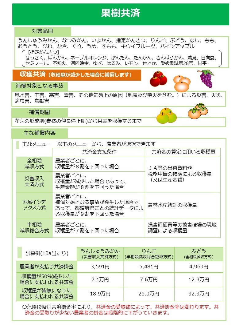 農業保険「果樹共済」の制度解説資料。緑色のヘッダーに白文字で「果樹共済」とタイトルが表示されている。 【対象品目】うんしゅうみかん、なつみかん、いよかん、指定かんきつ、りんご、ぶどう、なし、もも、おうとう、びわ、かき、くり、うめ、すもも、キウイフルーツ、パインアップル。指定かんきつには、はっさく、ぽんかん、ネーブルオレンジ、ぶんたん、たんかん、さんぽうかん、清見、日向夏、セミノール、不知火、河内晩柑、ゆず、はるみ、レモン、せとか、愛媛果試第28号、甘平が含まれる。 【収穫共済（収穫量が減少した場合に補償します）】 収穫共済セクション右側にりんご・みかん・ぶどうのイラストあり（装飾目的）。 補償対象となる事故：風水害、干害、寒害、雪害、その他気象上の原因（地震及び噴火を含む）による災害、火災、病虫害、鳥獣害。 補償期間：花芽の形成期（春枝の伸長停止期）から果実を収穫するまで。補償期間セクション右側になし・かきのイラストあり（装飾目的）。 【主な補償内容。主なメニュー。以下のメニューから、農業者が選択できます。】 表は「共済金支払条件」と「共済金の算定に用いる収穫量」の2列構成。 全相殺減収方式：農業者ごとに、収穫量が8割を下回った場合。JA等の出荷資料や税務申告の帳簿による収穫量（又は生産金額）を使用。 災害収入共済方式：農業者ごとに、収穫量が減少した場合であって、生産金額が8割を下回った場合。JA等の出荷資料や税務申告の帳簿による収穫量（又は生産金額）を使用。 地域インデックス方式：農業者ごとに、補償対象となる事故が発生した場合であって、都道府県ごとの統計データによる収穫量が9割を下回った場合。農林水産統計の収穫量を使用。 半相殺減収総合方式：農業者ごとに、収穫量が7割を下回った場合。損害評価員等の被害ほ場の現地調査による収穫量を使用。 【試算例（10a当たり）】 3列の比較表。列は左から、うんしゅうみかん（災害収入共済方式）、りんご（半相殺減収総合短縮方式）、ぶどう（全相殺減収方式）。なお、りんごの試算例は「半相殺減収総合短縮方式」であり、上記メニュー表の「半相殺減収総合方式」とは別メニューである。 農業者が支払う共済掛金：3,591円・5,481円・4,969円。 収穫量が50パーセント減少した場合に支払われる共済金：7.1万円・7.6万円・12.3万円。 収穫量が皆無になった場合に支払われる共済金：18.9万円・26.0万円・32.3万円。 注記（重要・オレンジ色強調）：危険段階別共済掛金率により、共済金の受取額によって共済掛金率は変わる。共済金の受け取りが少ない農業者の掛金は段階的に下がっていく。