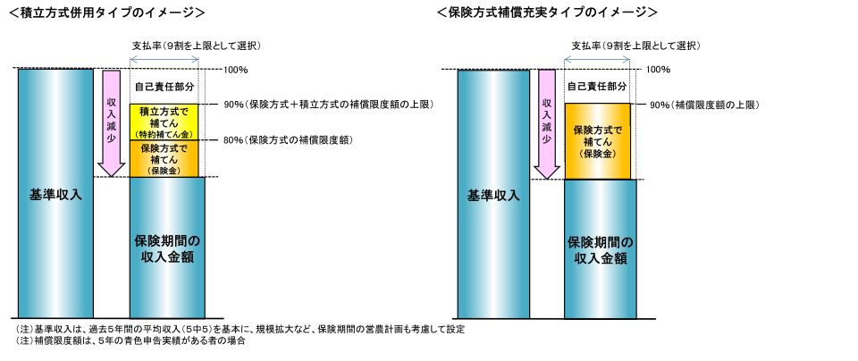 積立方式併用タイプ+保険方式タイプのイメージ図