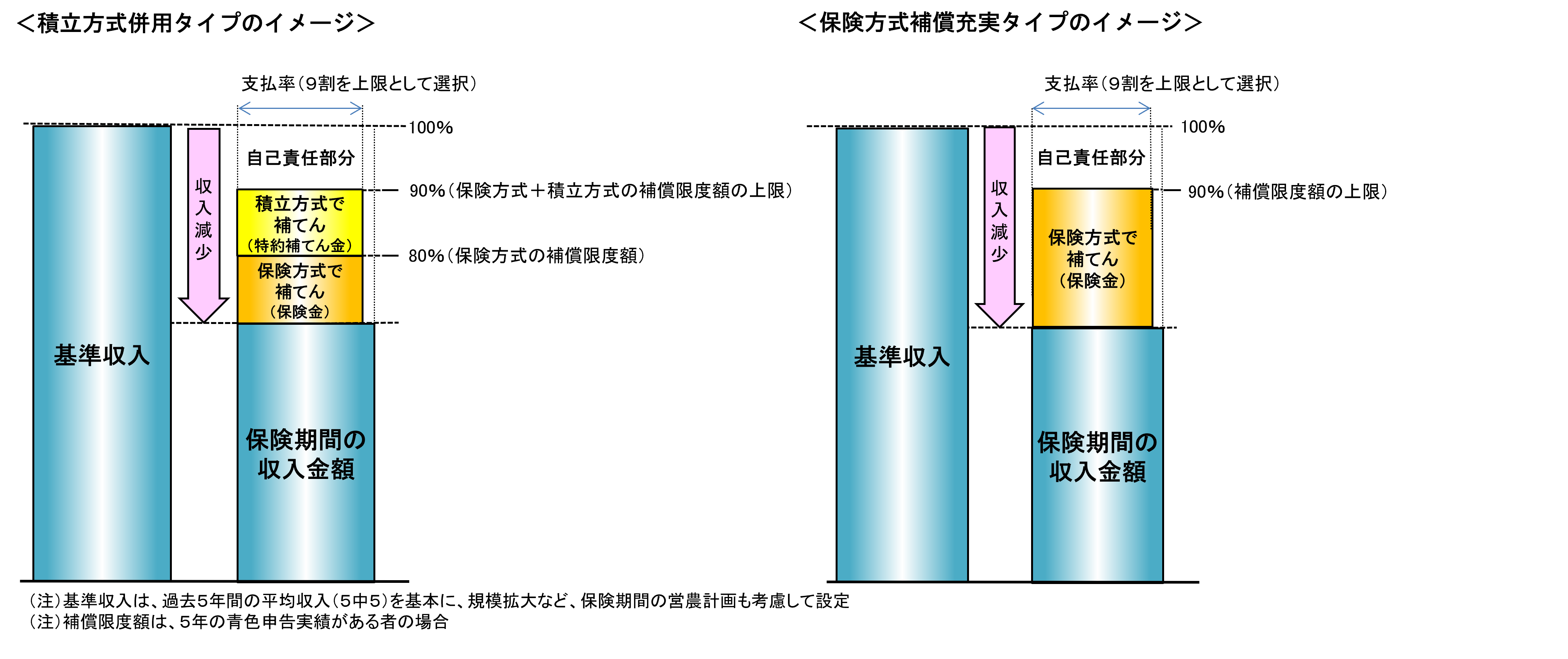積立方式併用タイプ＋保険方式補償充実タイプのイメージ図