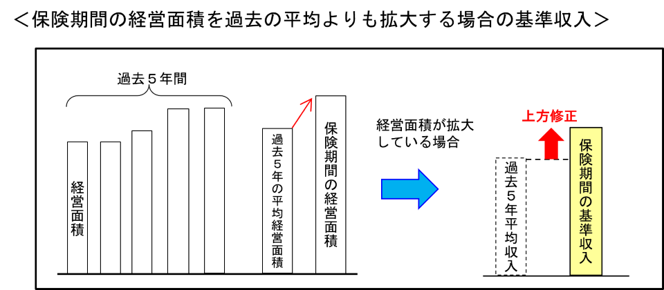規模拡大特例の図