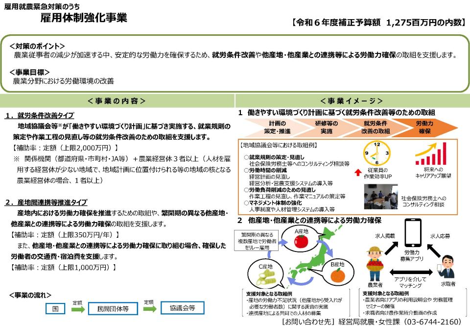 令和６年度補正雇用体制強化事業