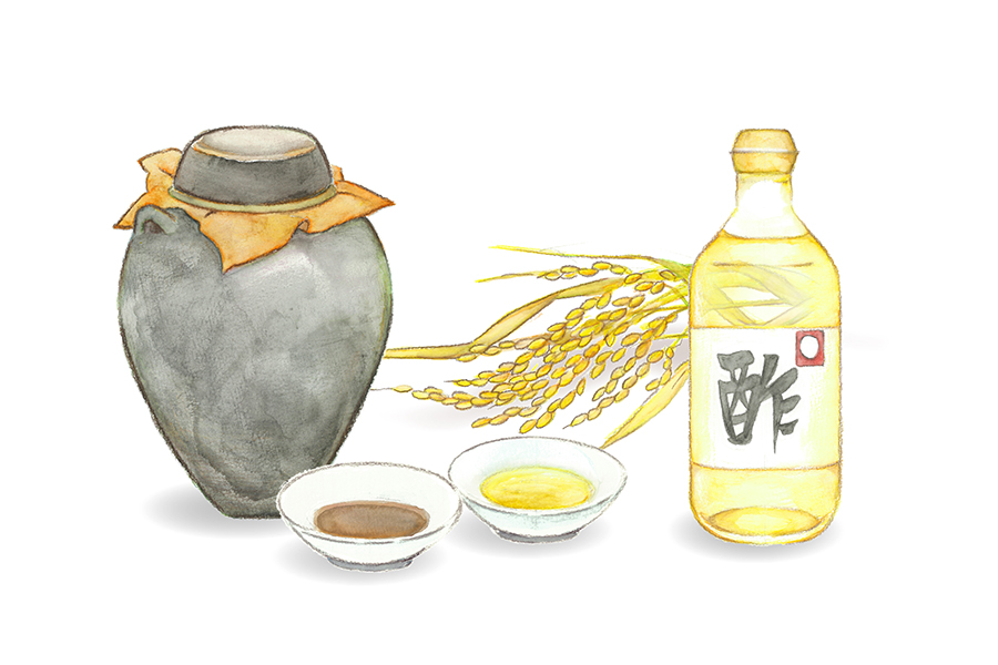 夏こそお酢！お酢の歴史と種類<br>【レシピ】