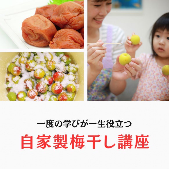 オプティマルキッチン6月2_02