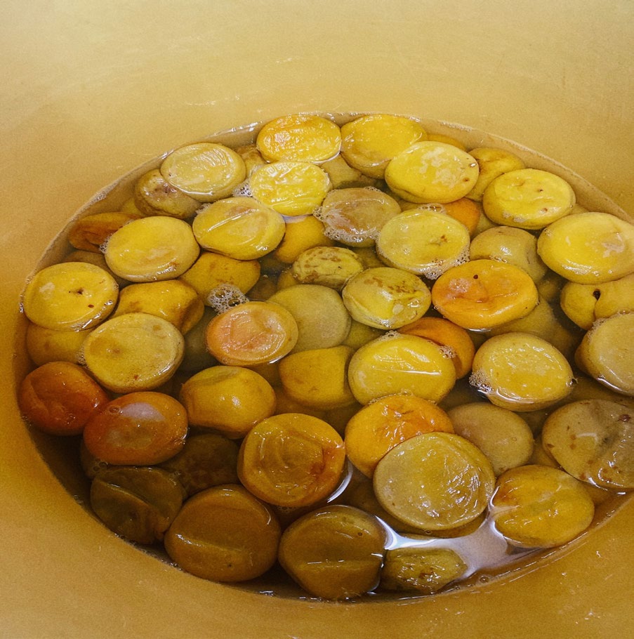 オプティマルキッチン6月2_03