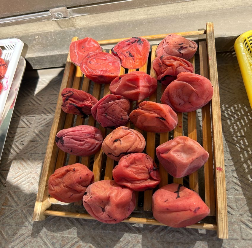 オプティマルキッチン6月2_04