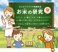 1130お米の研究画像
