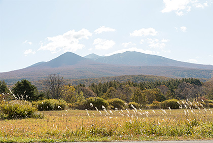 うちの郷土料理