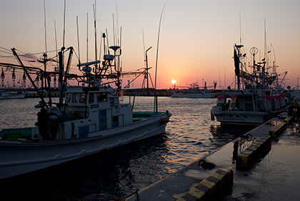うちの郷土料理