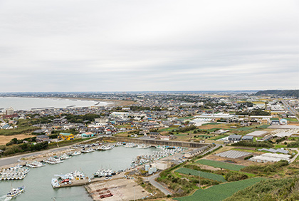 うちの郷土料理