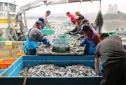 うちの郷土料理