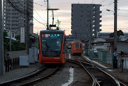 うちの郷土料理