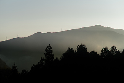 うちの郷土料理