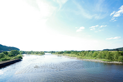 うちの郷土料理