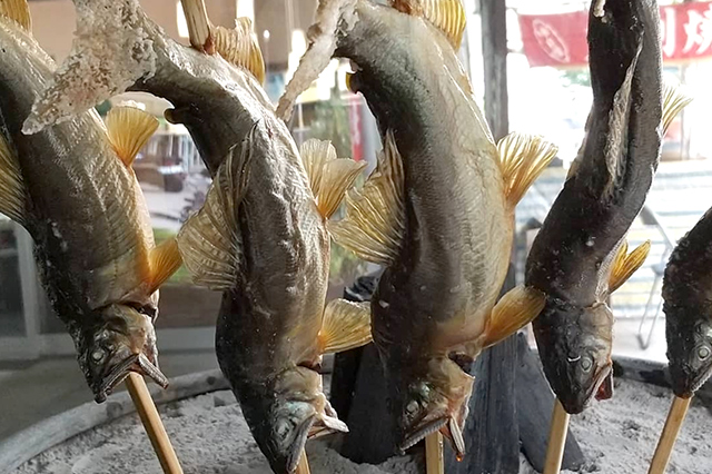 鮎塩焼き