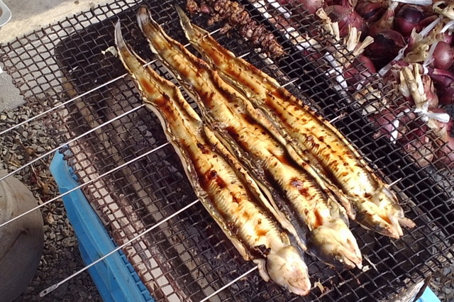 焼きアナゴ