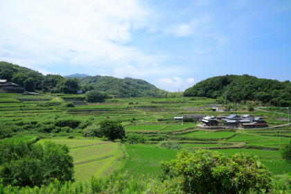 石田の棚田