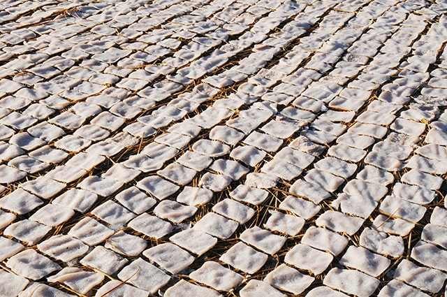 凍みこんにゃく