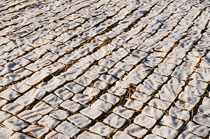 凍みこんにゃく