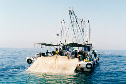 うちの郷土料理