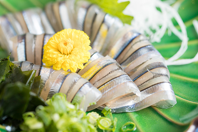 きびなごの刺身