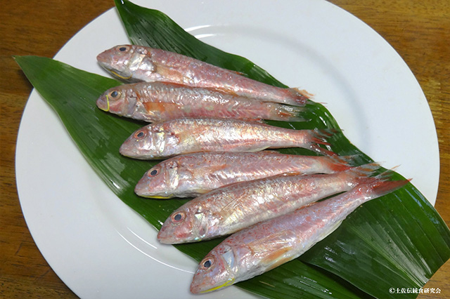 ひめいちとみかんの辛子煮