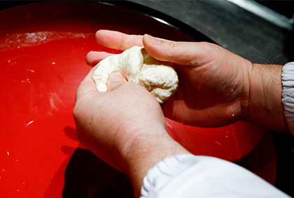 うちの郷土料理