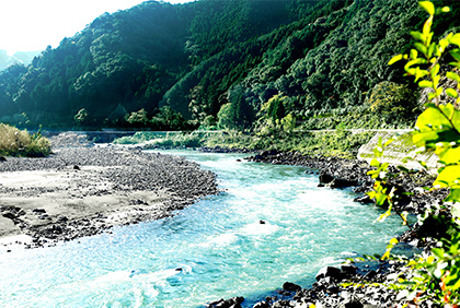 うちの郷土料理