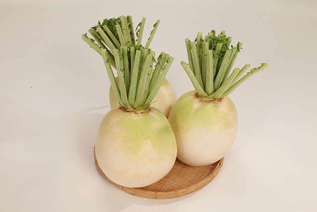 聖護院だいこん