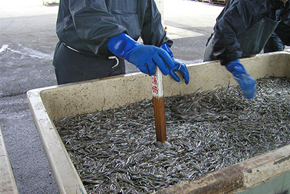 うちの郷土料理